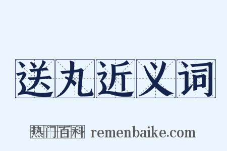 送丸近义词是什么意思的图片